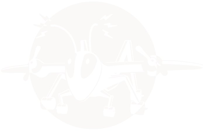 Zackoplane